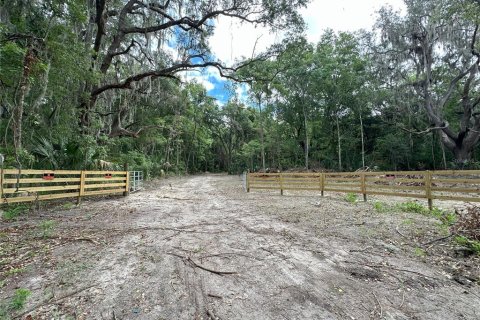 Terrain à vendre à Reddick, Floride № 1337555 - photo 3