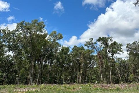 Land in Reddick, Florida № 1337555 - photo 14