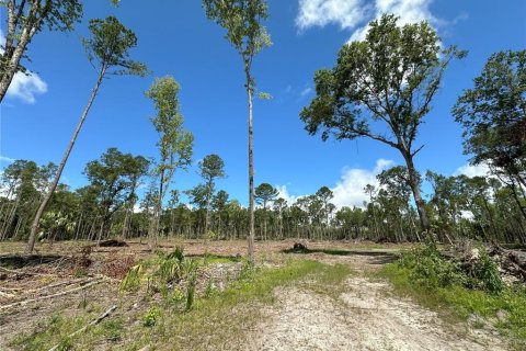 Terrain à vendre à Reddick, Floride № 1337555 - photo 6