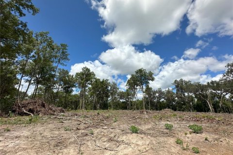 Land in Reddick, Florida № 1337555 - photo 16