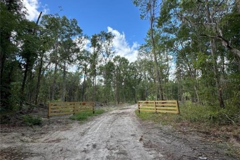 Terreno en venta en Reddick, Florida № 1337555 - foto 11