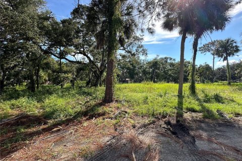 Terreno en venta en Bradenton, Florida № 1402354 - foto 3