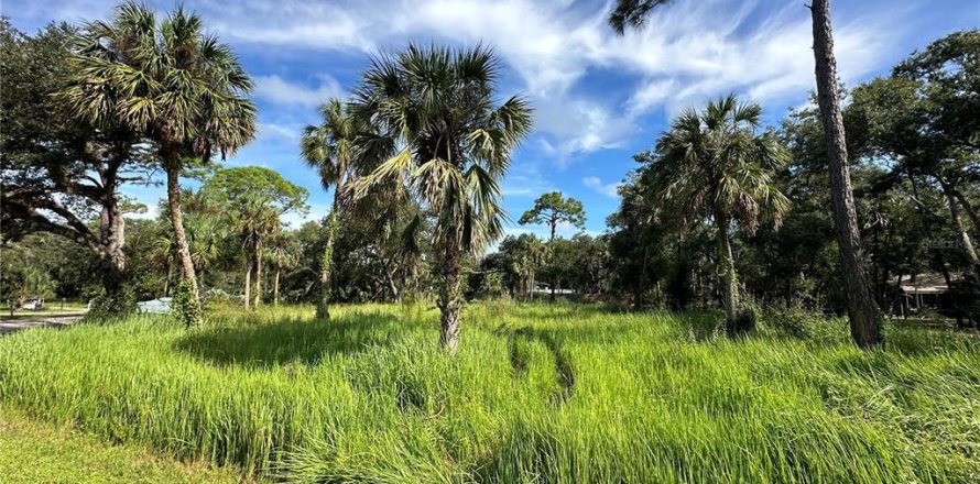 Terreno en Bradenton, Florida № 1402354