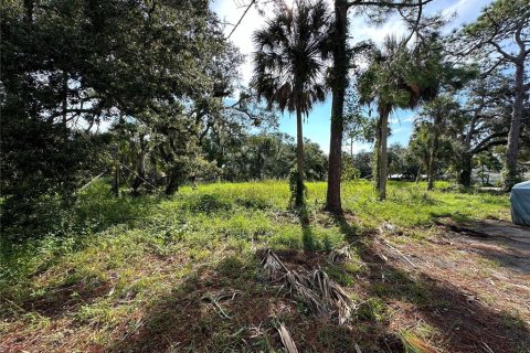 Terreno en venta en Bradenton, Florida № 1402354 - foto 5