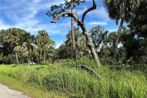 Terreno en venta en Bradenton, Florida № 1402354 - foto 2