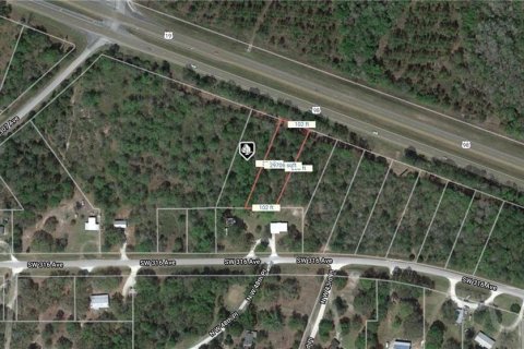 Terreno en venta en Cross City, Florida № 1295356 - foto 8