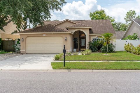 Villa ou maison à vendre à Tampa, Floride: 3 chambres, 140 m2 № 1371529 - photo 1