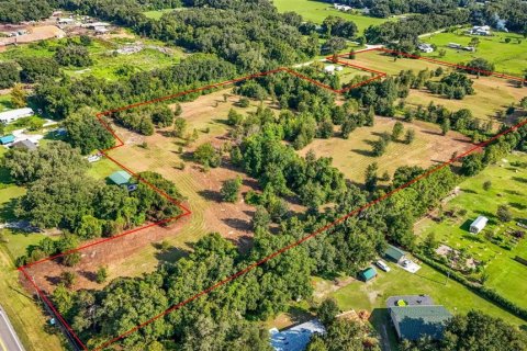 Terreno en venta en Webster, Florida № 1265462 - foto 3