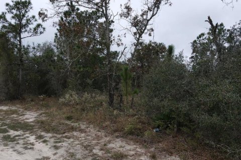 Terrain à vendre à Brooksville, Floride № 1353981 - photo 10