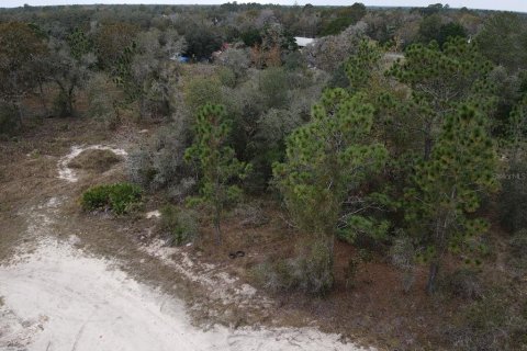 Terrain à vendre à Brooksville, Floride № 1353981 - photo 6