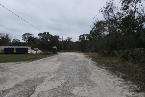 Land in Brooksville, Florida № 1353981 - photo 1