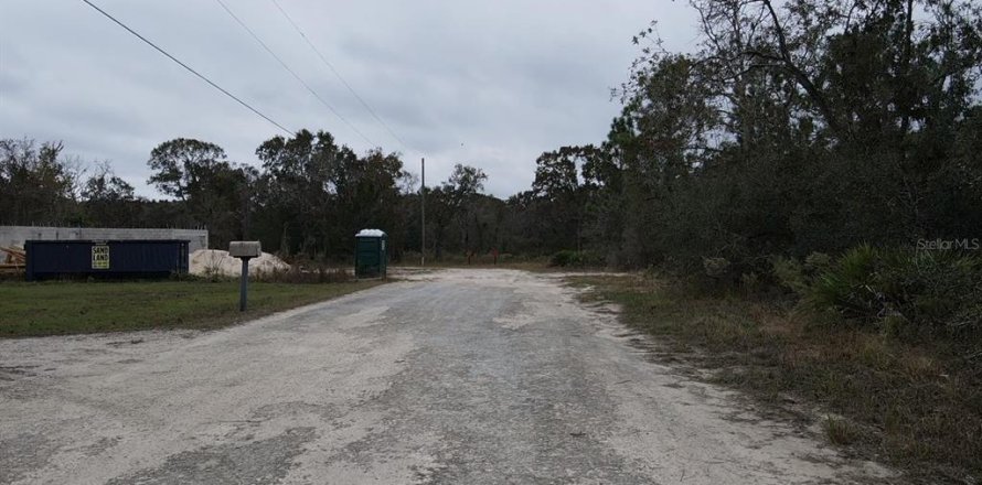 Terrain à Brooksville, Floride № 1353981