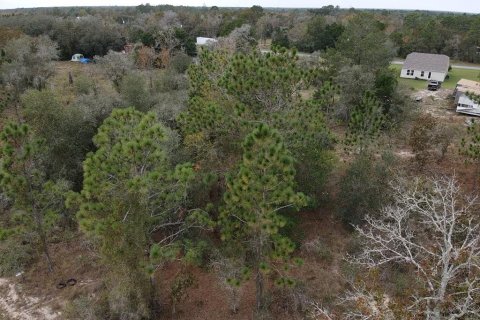 Land in Brooksville, Florida № 1353981 - photo 13