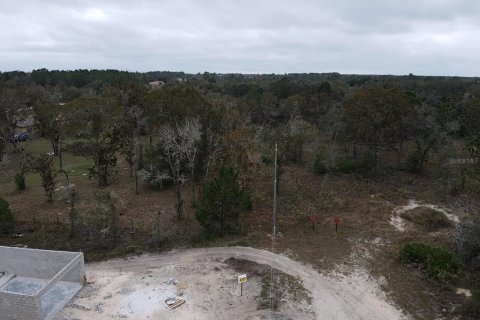 Land in Brooksville, Florida № 1353981 - photo 12