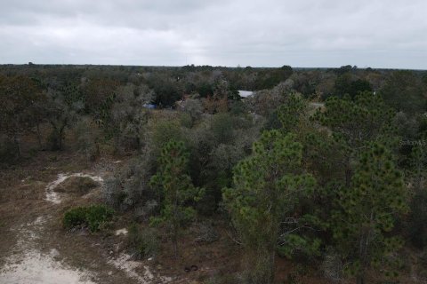 Terrain à vendre à Brooksville, Floride № 1353981 - photo 11