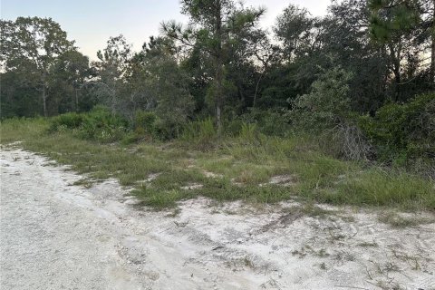 Terreno en venta en Brooksville, Florida № 1353981 - foto 4