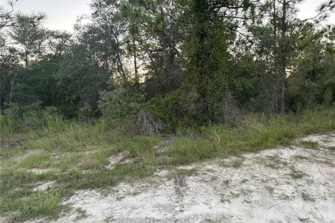 Terreno en venta en Brooksville, Florida № 1353981 - foto 5