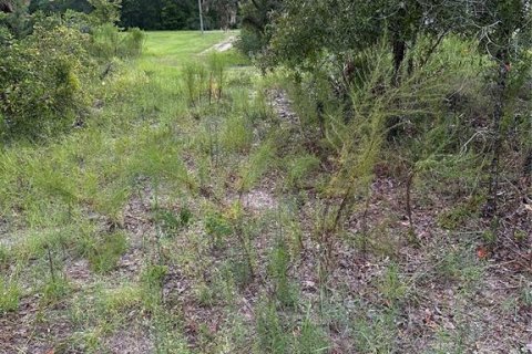 Land in Brooksville, Florida № 1353981 - photo 3