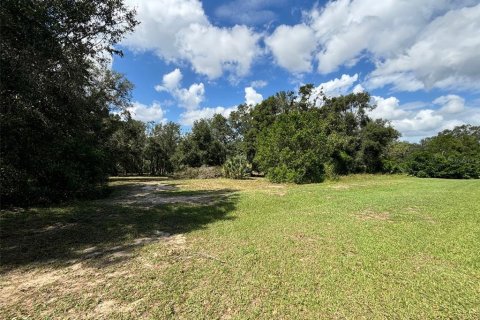 Terreno en venta en Clermont, Florida № 1403799 - foto 10