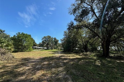 Terreno en venta en Clermont, Florida № 1403799 - foto 8