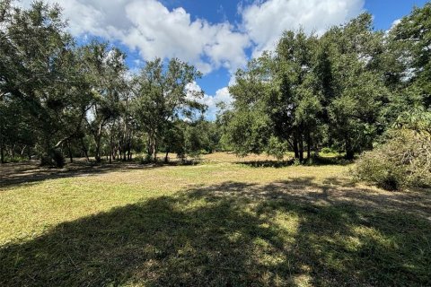 Terreno en venta en Clermont, Florida № 1403799 - foto 7