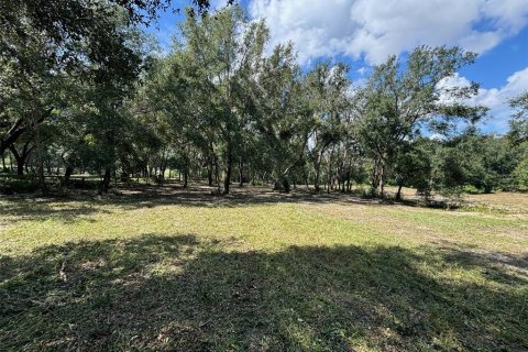 Terreno en venta en Clermont, Florida № 1403799 - foto 6