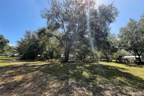 Terreno en venta en Clermont, Florida № 1403799 - foto 5