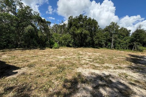 Terreno en venta en Clermont, Florida № 1403799 - foto 2