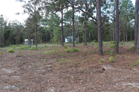 Land in Dunnellon, Florida № 1389374 - photo 17