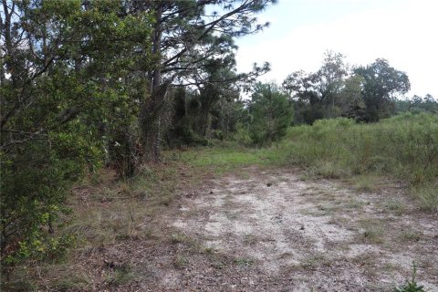 Land in Dunnellon, Florida № 1389374 - photo 6