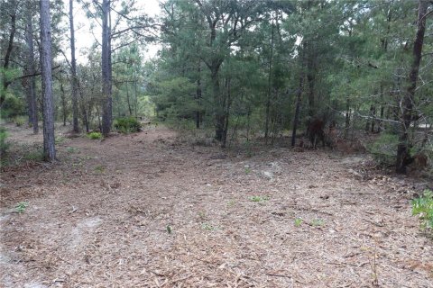 Land in Dunnellon, Florida № 1389374 - photo 2