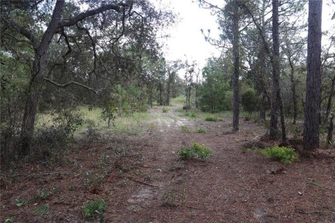 Land in Dunnellon, Florida № 1389374 - photo 3