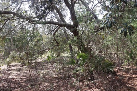 Land in Dunnellon, Florida № 1389374 - photo 21