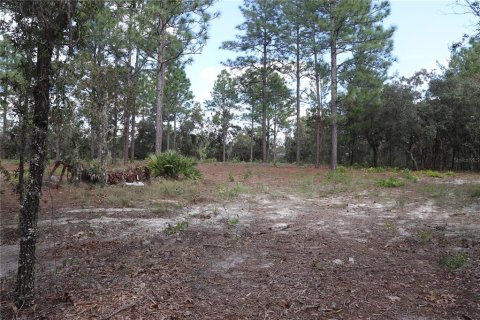 Land in Dunnellon, Florida № 1389374 - photo 10