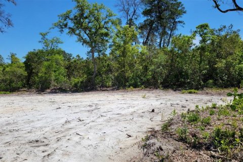 Terrain à vendre à DeLand, Floride № 1340199 - photo 6