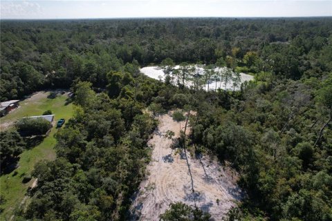 Terrain à vendre à DeLand, Floride № 1340199 - photo 8