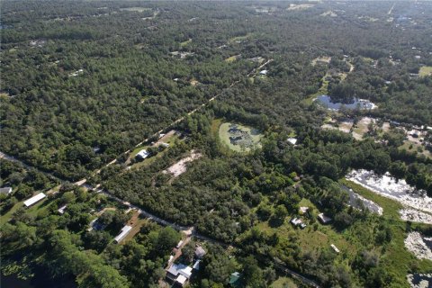 Terreno en venta en DeLand, Florida № 1340199 - foto 9