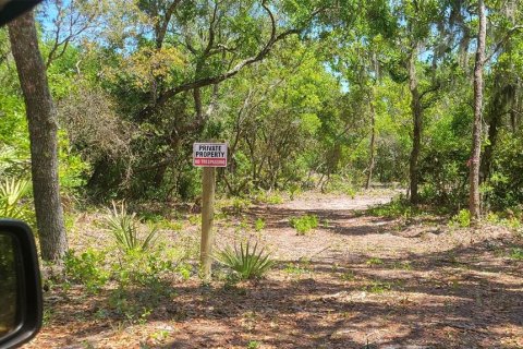 Terreno en venta en DeLand, Florida № 1340199 - foto 4