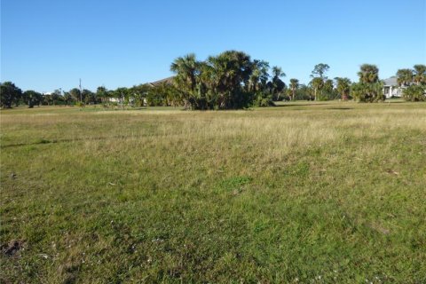 Terrain à vendre à Punta Gorda, Floride № 262321 - photo 6