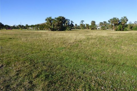 Terrain à vendre à Punta Gorda, Floride № 262321 - photo 3