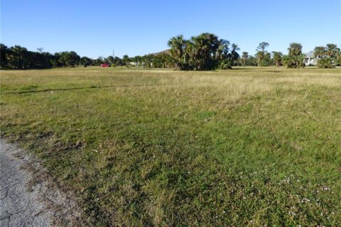 Terrain à vendre à Punta Gorda, Floride № 262321 - photo 4