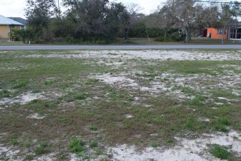 Купить земельный участок в Виро-Бич, Флорида № 972888 - фото 3