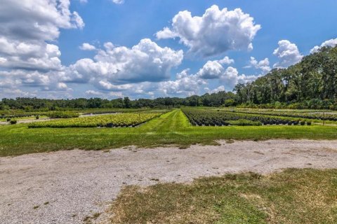 Commercial property in Zephyrhills, Florida № 702203 - photo 10