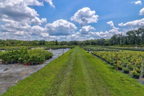 Commercial property in Zephyrhills, Florida № 702203 - photo 6