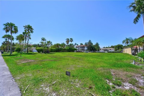 Land in Lighthouse Point, Florida № 268838 - photo 13