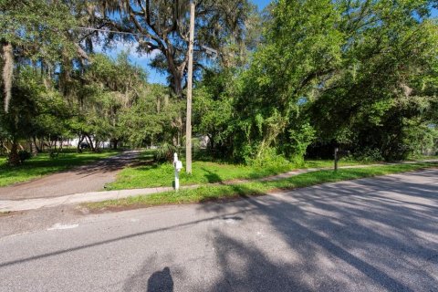 Land in Temple Terrace, Florida № 1341061 - photo 6