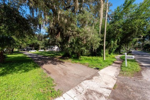 Land in Temple Terrace, Florida № 1341061 - photo 17