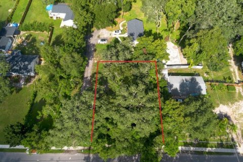 Land in Temple Terrace, Florida № 1341061 - photo 1