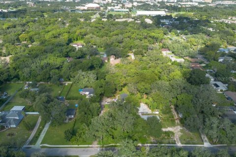 Land in Temple Terrace, Florida № 1341061 - photo 20