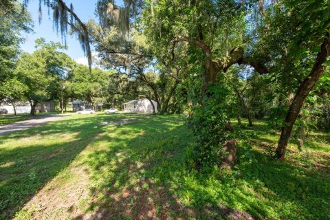 Land in Temple Terrace, Florida № 1341061 - photo 16